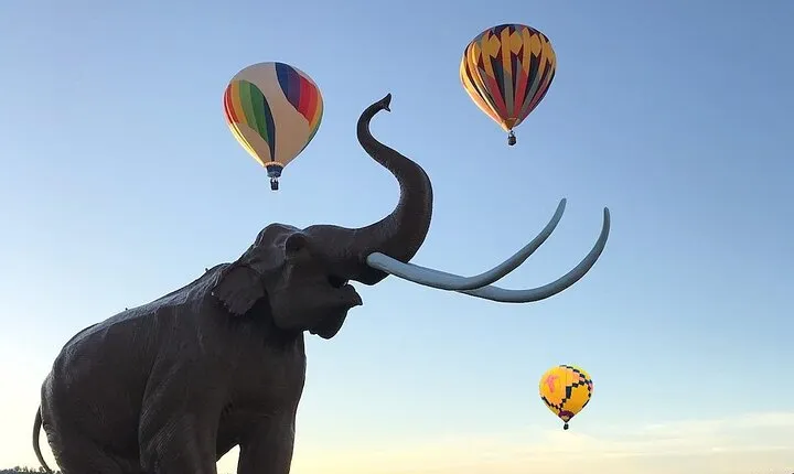 Western Horizons Hot Air Balloon rides