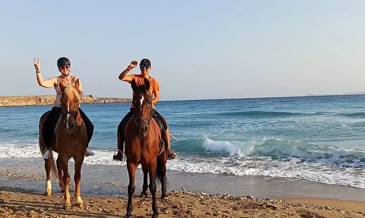 1 Hour Horse Back Riding on the Beach in Sharm El Sheikh