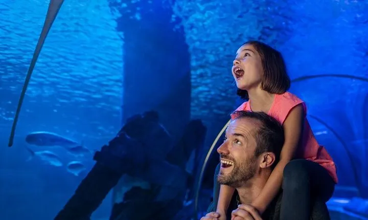 SEA LIFE Aquarium Minnesota Admission Ticket at Mall of America