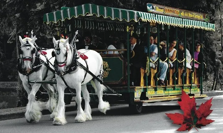 Stanley Park Horse-Drawn Tour