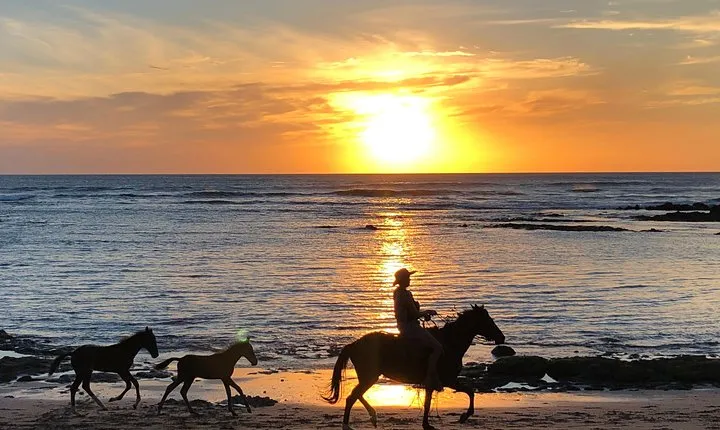 Private tours and transfer Costa Rica