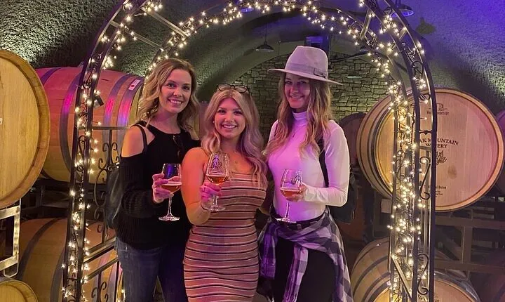 Private Temecula Wine Tour from San Juan Capistrano