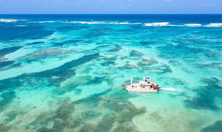 Punta Cana Private Catamaran Cruise: Snorkeling, Beach & BBQ