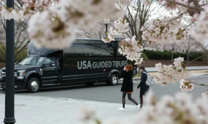 The DC Cherry Blossom Tour