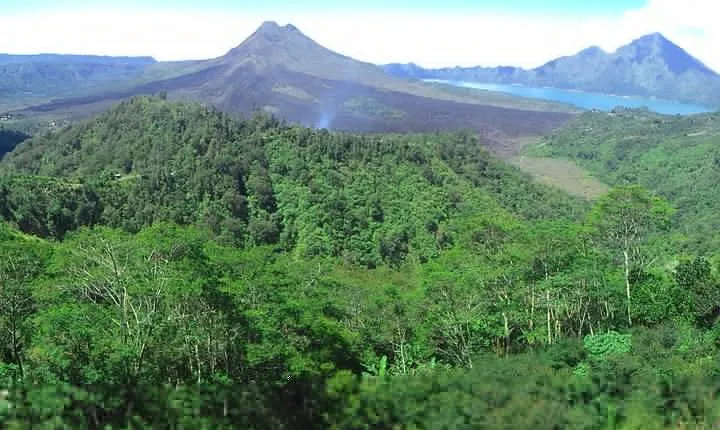 Bali Ubud & Kintamani Volcano Tour -All Inclusive