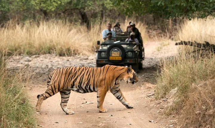4 Days Golden Triangle Tour with Ranthambore from Delhi