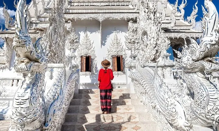 Chiang Rai White, Blue Temple, Black House Museum Hot Spring Tour