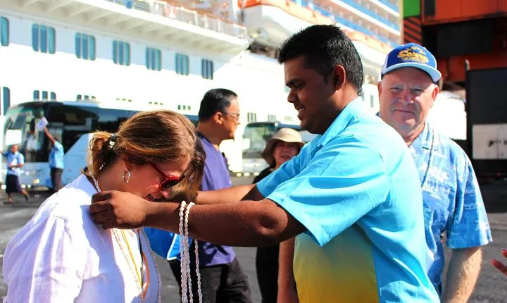 Private Transfer: Pacific Habour to Nadi Airport - 5 to 8 Seat Vehicle