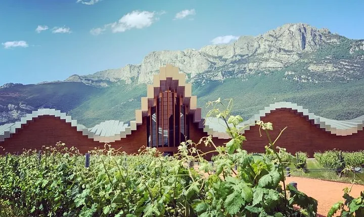 Architectural Rioja Small Group Wine Tour with Lunch from Bilbao