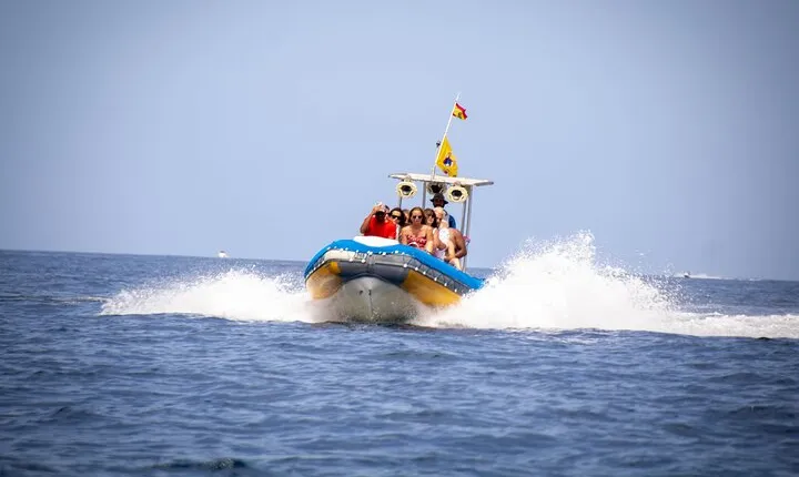 SEA SAFARI Dolphins,Whales, snorkeling, snack, drink, 3h private