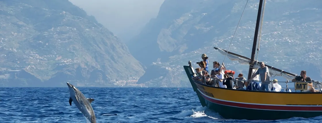Whale watching tour on a traditional sailboat in Madeira