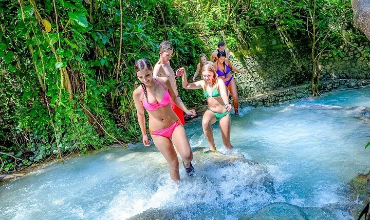 Dunn's River Falls & Luminous Lagoon Guided Tour from Montego Bay