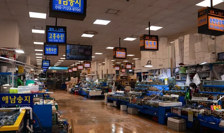 Seoul: The Biggest Sea-food Noryangjin Market Gastroventure Tour