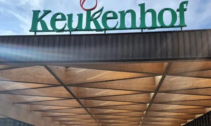 Amsterdam to Keukenhof Garden And Zaanseschans Windmills
