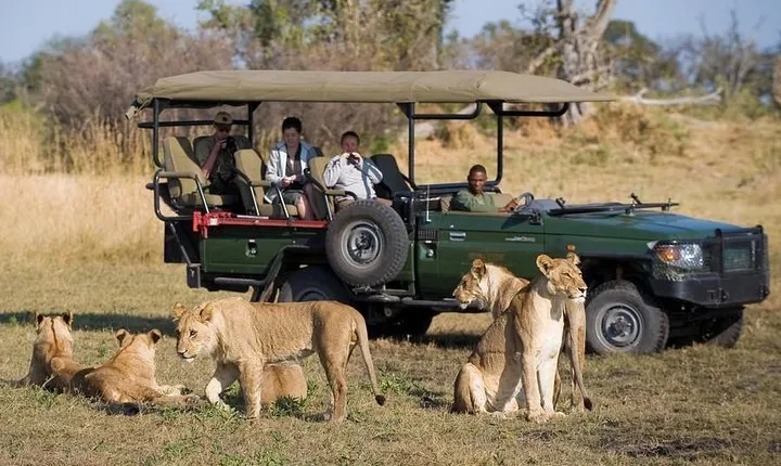 Chobe Sunrise upto Sunset Day trip from Victoria Falls 5AM - 7PM
