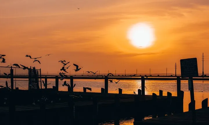 2-Hour Sunset Ultimate Party Pontoon Rental in Dewey Beach, DE
