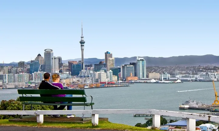 Auckland City Small-Group Morning Discovery Tour