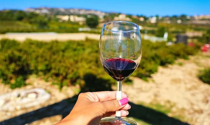 Local Wineries Tour with Wine Testing from Paphos