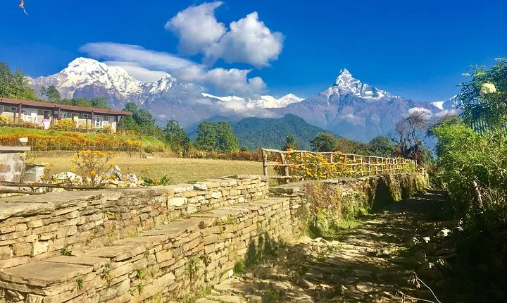 Best Short 5 days Trek Pokhara-Dhampus-Sarangkot