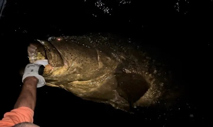 Sport Fishing with "Captain Extreme" from Ultimate Outdoors TV