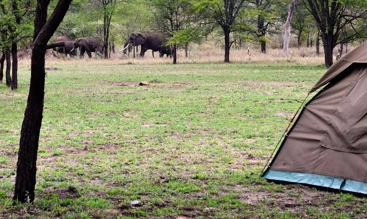 2-Day Affordable Tarangire & Ngorongoro Budget Safari Experience