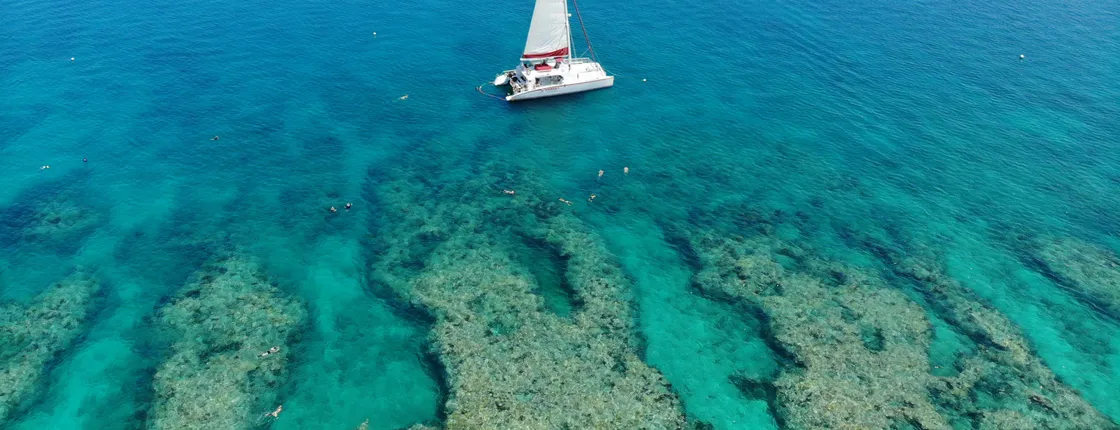 Key West afternoon reef snorkeling
