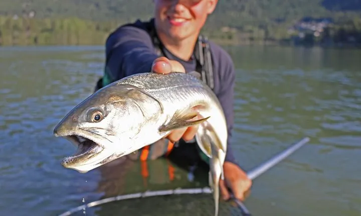 Guided Fishing Adventure in Whistler