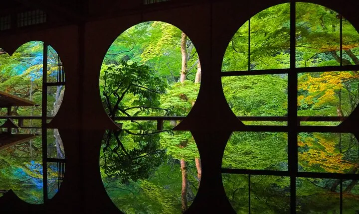 Half Day in Kyoto Arashiyama with Lunch in a Temple Private Tour