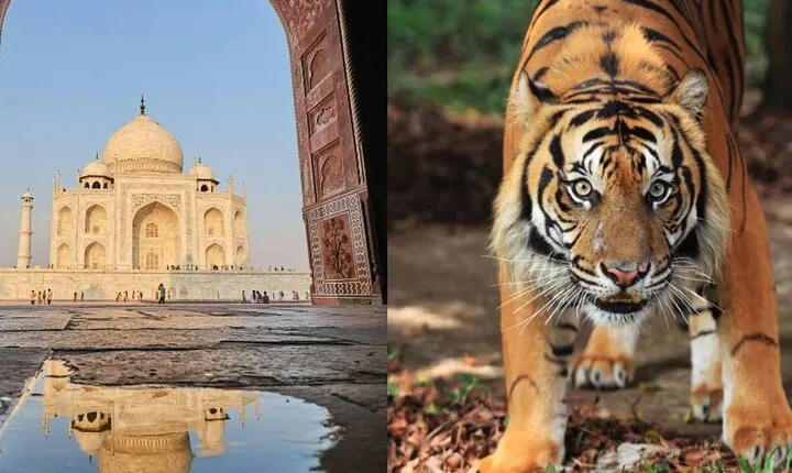 4 Day Golden Triangle with Ranthambore Tiger Safari from Delhi