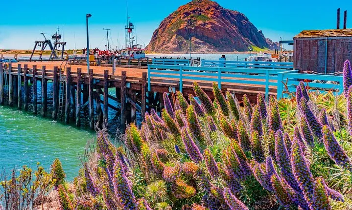 Morro Bay: Private 2 Hour Stroll & Savory Delights Tour