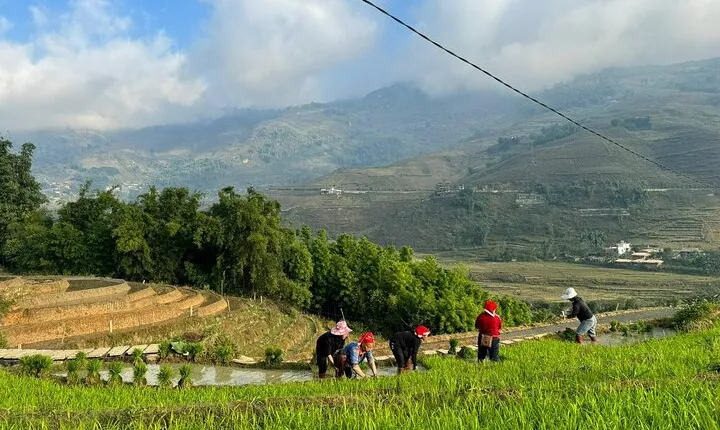 From Ha Noi: 3 Days and 2 Nights Sapa Trek with Local Guide