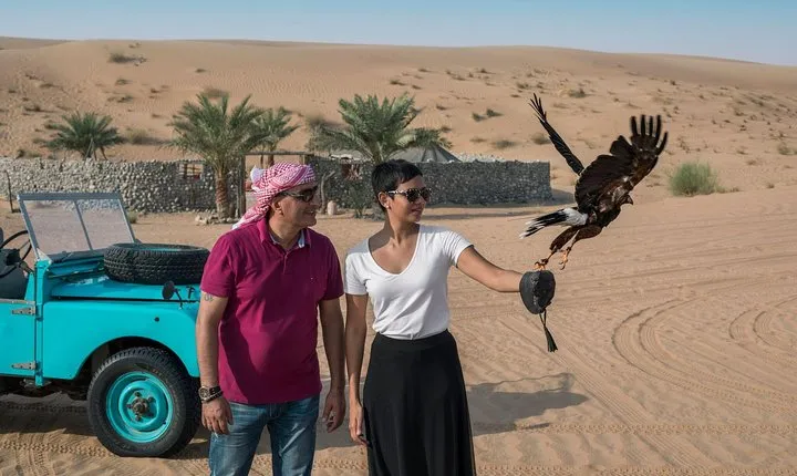 Morning Falconry & Nature Desert Safari with Transfers from Dubai