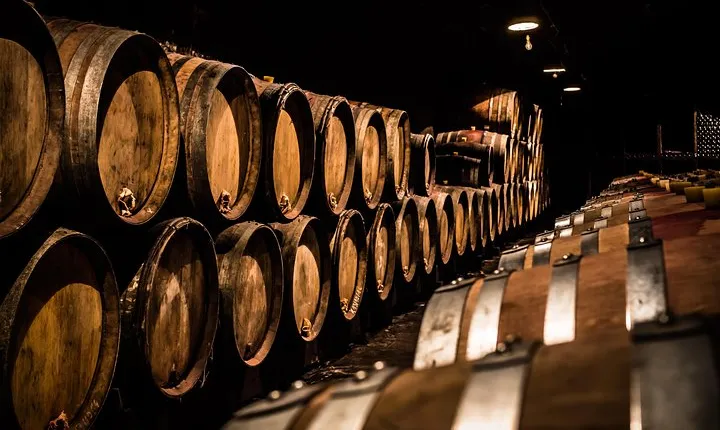 Small-Group Full-Day Tour of Côte de Nuits, Côte de Beaune Vineyards and Beaune Historical District