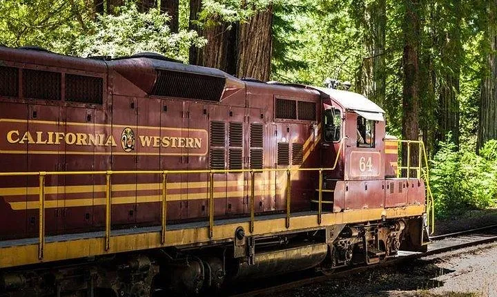 Skunk Train: Wolf Tree Turn from Willits