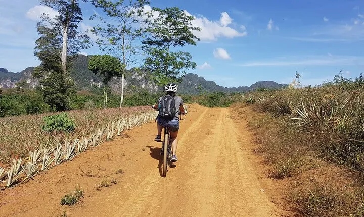Krabi Countryside Eco Cycling Tour - Multiple Trails