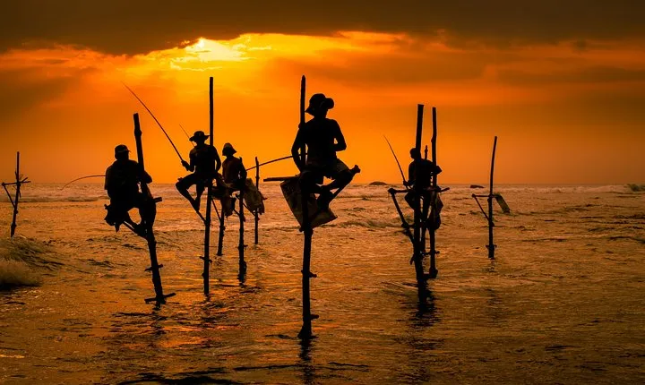 Southern Sri Lanka Sightseeing Day Trip From Colombo & Negombo