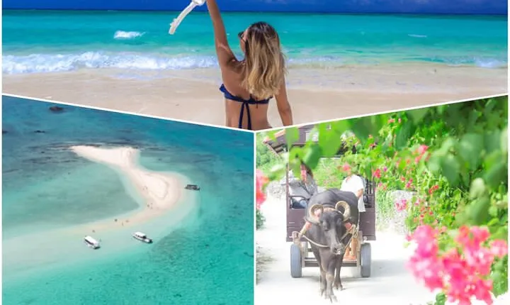 Ishigaki Phantom Island Snorkeling Taketomi Island Sightseeing