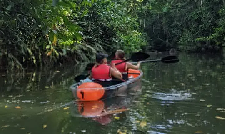 Clear Kayak Tour at Punta Uva