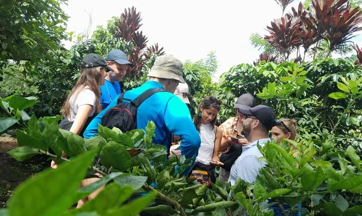 Coffee Tour La Palma