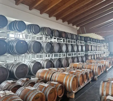 Emilia-Romagna's Typical products Tasting Tour from Parma