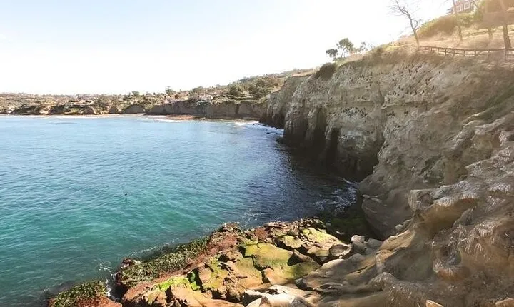 La Jolla Cove Guided Snorkeling Tour with Sea Lions and Sea Caves