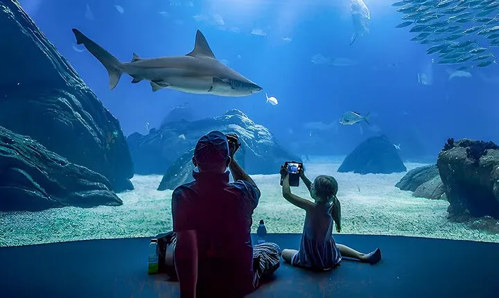 Oceanário de Lisboa Tickets
