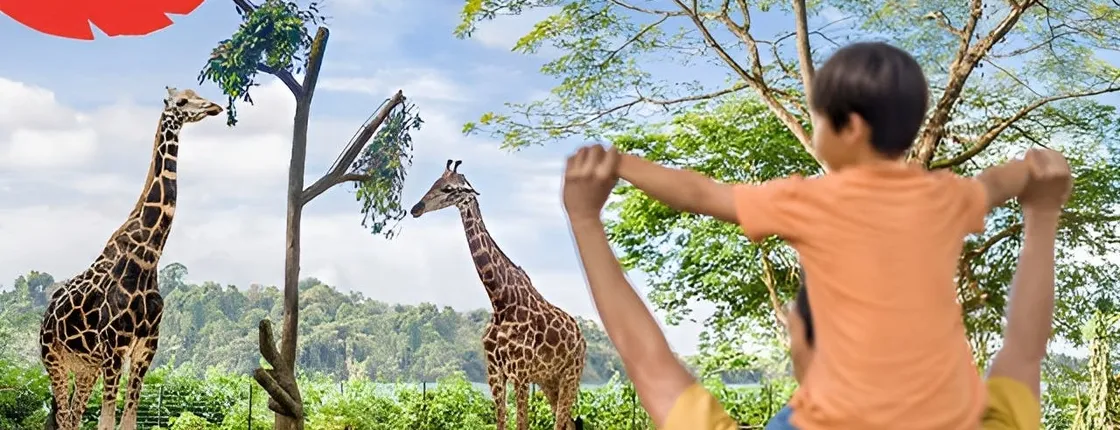Singapore Zoo Entrance Ticket Including Tram