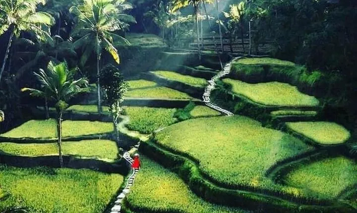 Private Customized Tour with Local Guide