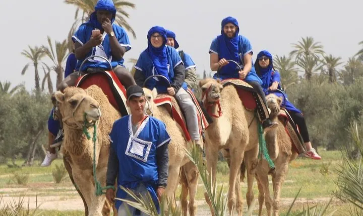 Camel Ride at Sunset in The Palm Grove of Marrakech