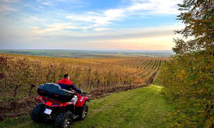 Private ATV Adventures in Petrovaselo