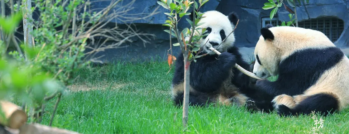 Beijing 3 Day Private Guided Tour with Optional Attractions