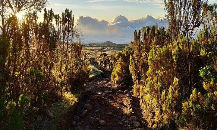 Marangu Route Day Trip