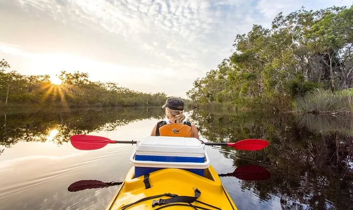 Full-Day Guided Noosa Everglades Kayak Tour