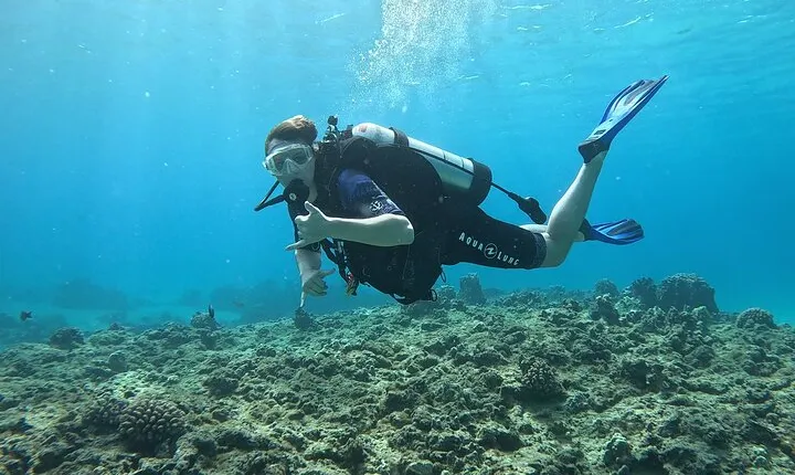 SCUBA Dive at Electric Beach with Photos -No Certification Needed